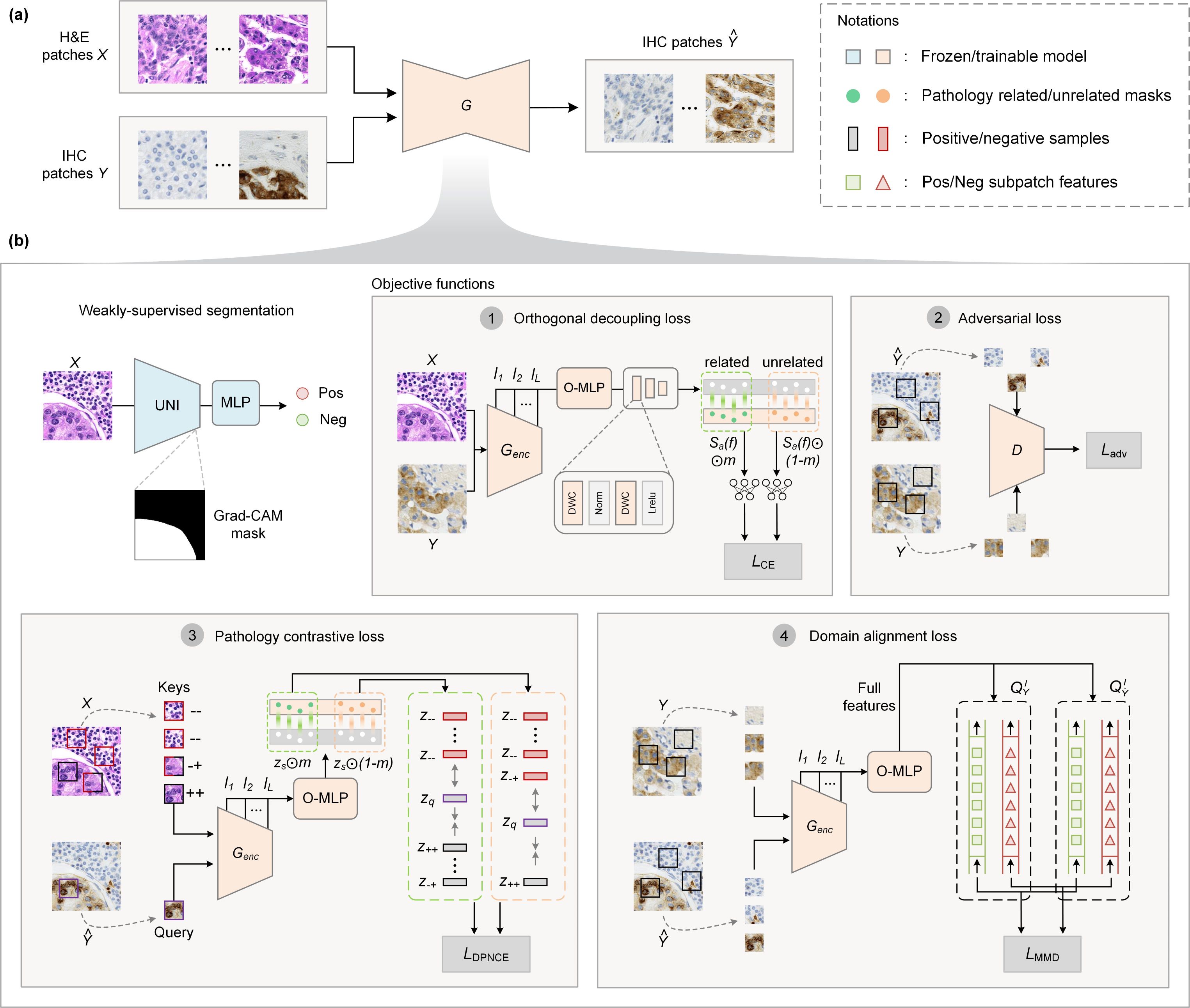 ODA-GAN:Orthogonal Decoupling Alignment GAN Assisted by Weakly-supervised Learning for Virtual Immunohistochemistry Staining