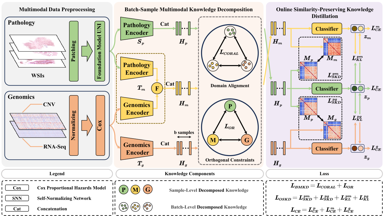 Online Teaching: Distilling Decomposed Multimodal Knowledge for Breast Cancer Biomarker Prediction
