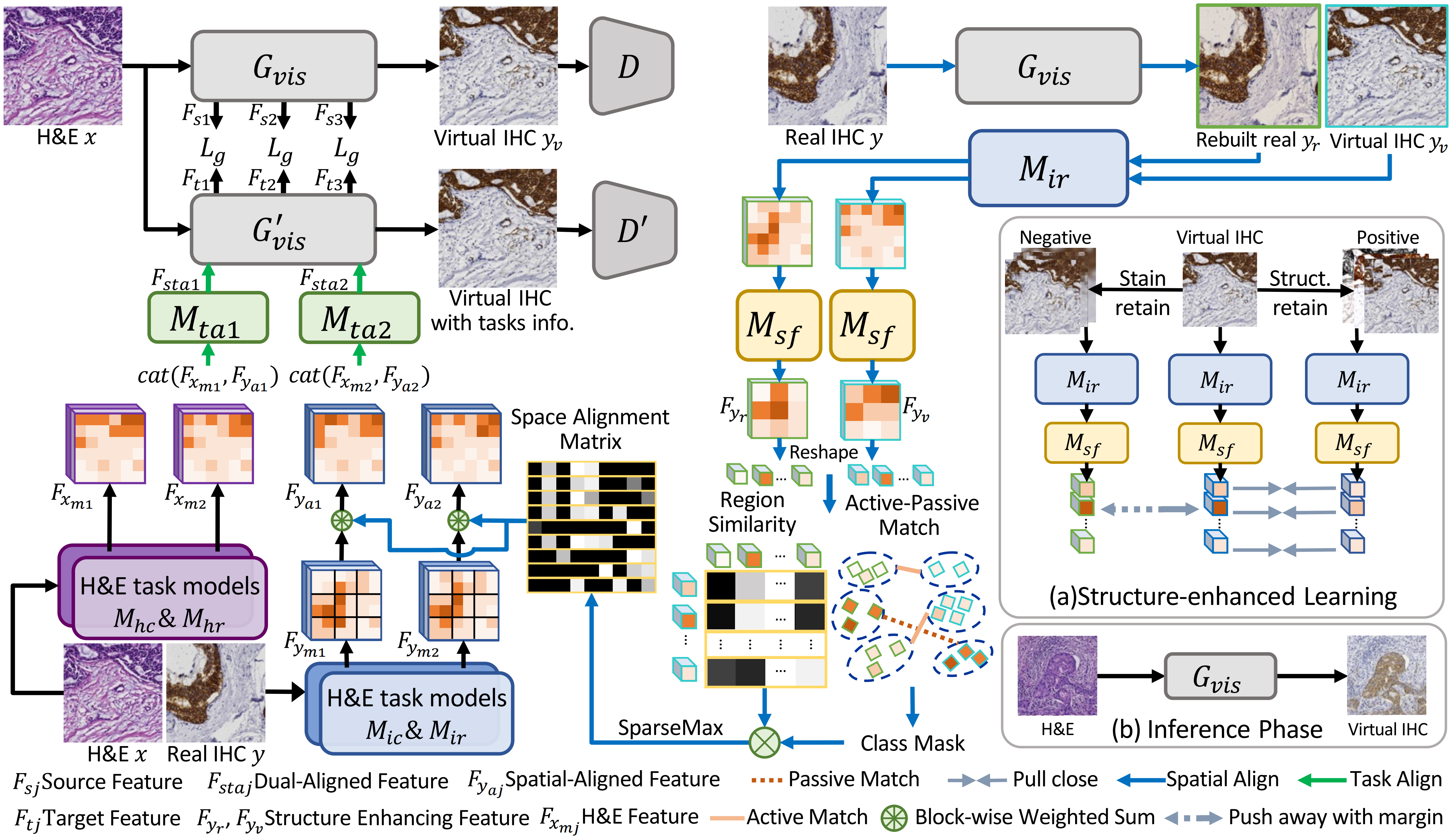 Virtual Immunohistochemistry Staining with Dual-Aligned Multi-Task Feature Guidance