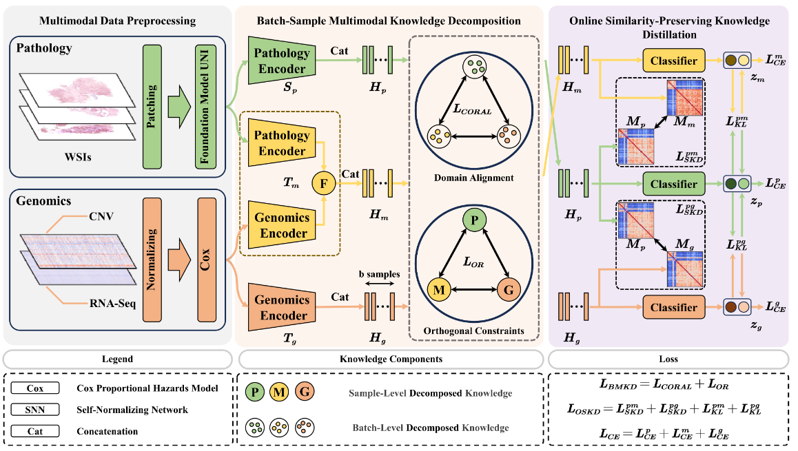 Knowledge distillation example for molecular biomarker predictions